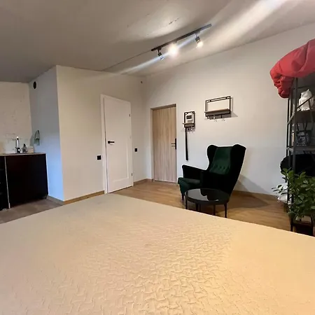 Apartamentai Kauno Centre Apartment